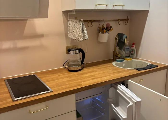 стильная студия в центре города! Narva